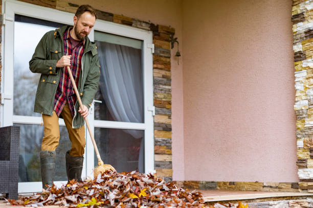 Best Construction Debris Removal  in Cold Spring, MN